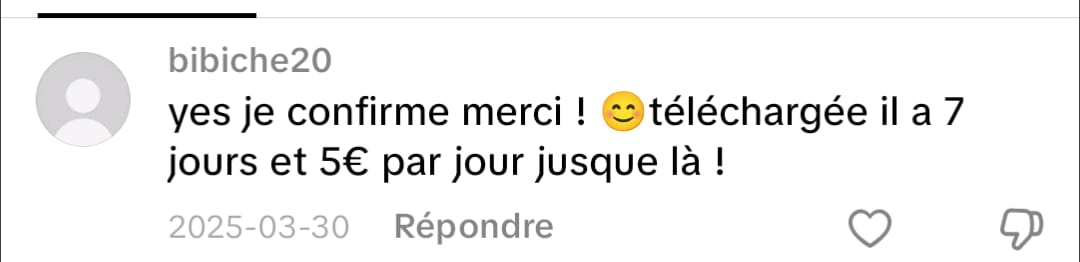 Capture de commentaire TikTok — Bibiche